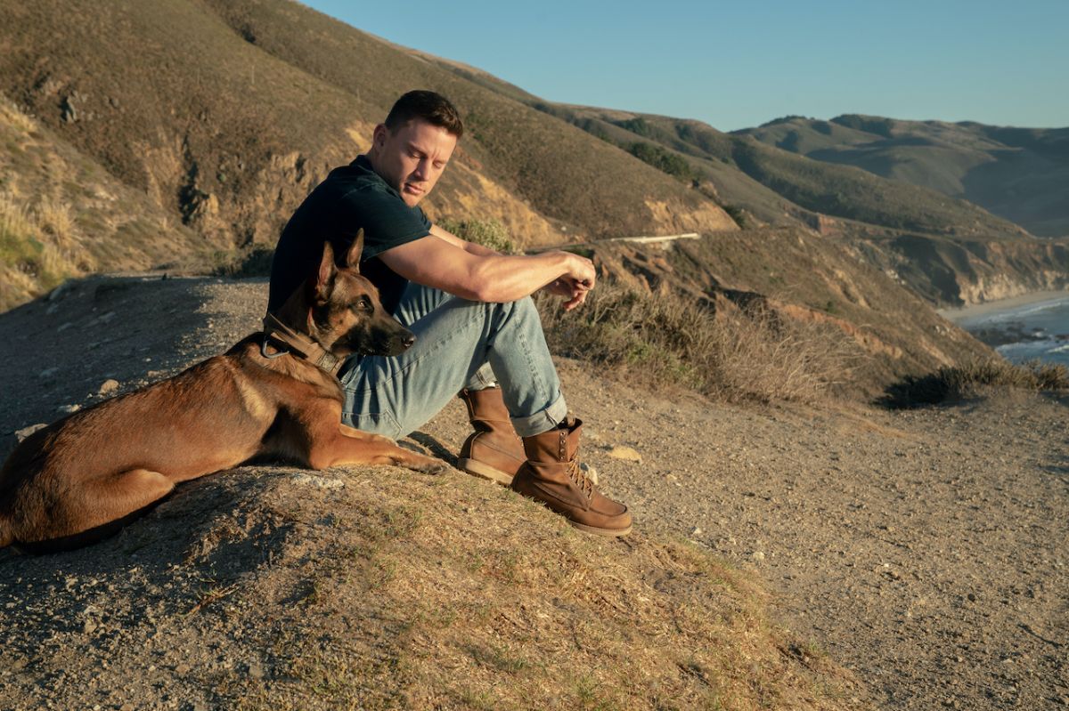 Crítica de “Dog: Un viaje salvaje”, Channing Tatum en una aventura que no es lo que aparenta