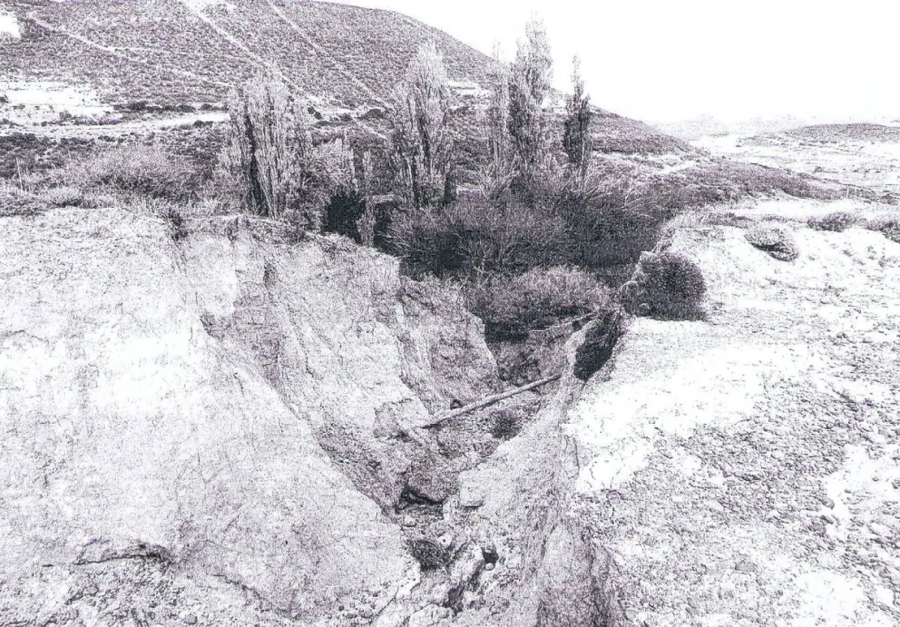 El recurso de amparo que comprobó el grave impacto ambiental que produce una petrolera en El Tordillo 