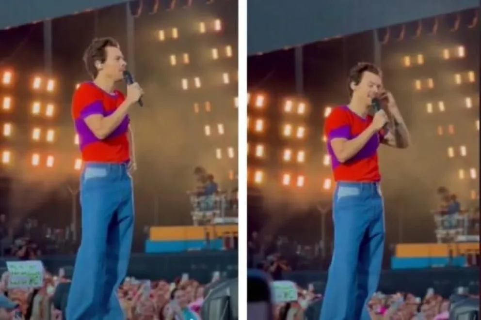 Emotivo momento: Harry Styles encontró a su maestra en un show y le dedicó una canción