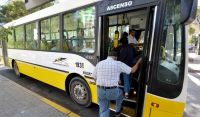 Transporte público en Neuquén: la UTA define si va al paro por 72 horas