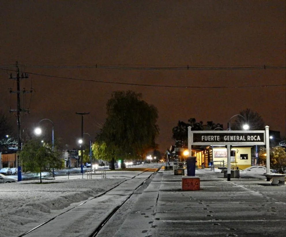 ¡Y llegó la nieve! La ciudad amaneció vestida de blanco: mirá las imágenes