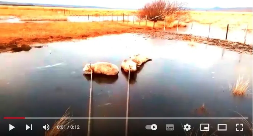 Cómo se viven las temperaturas bajo cero en zonas rurales