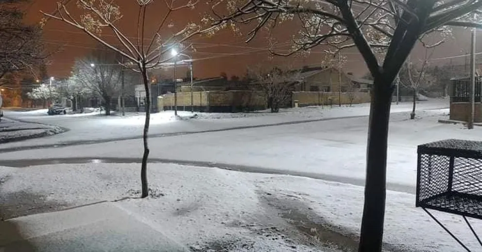 La nieve pintó de blanco el Alto Valle rionegrino