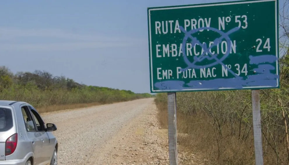 Inhumano al volante: abandonaron a un oso hormiguero con todo el cuerpo quebrado 