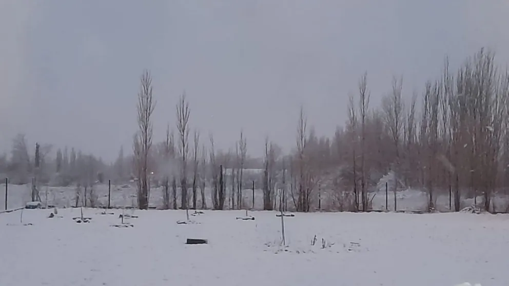 La nieve esquiva la zona andina, pero pintó de blanco al Alto Valle