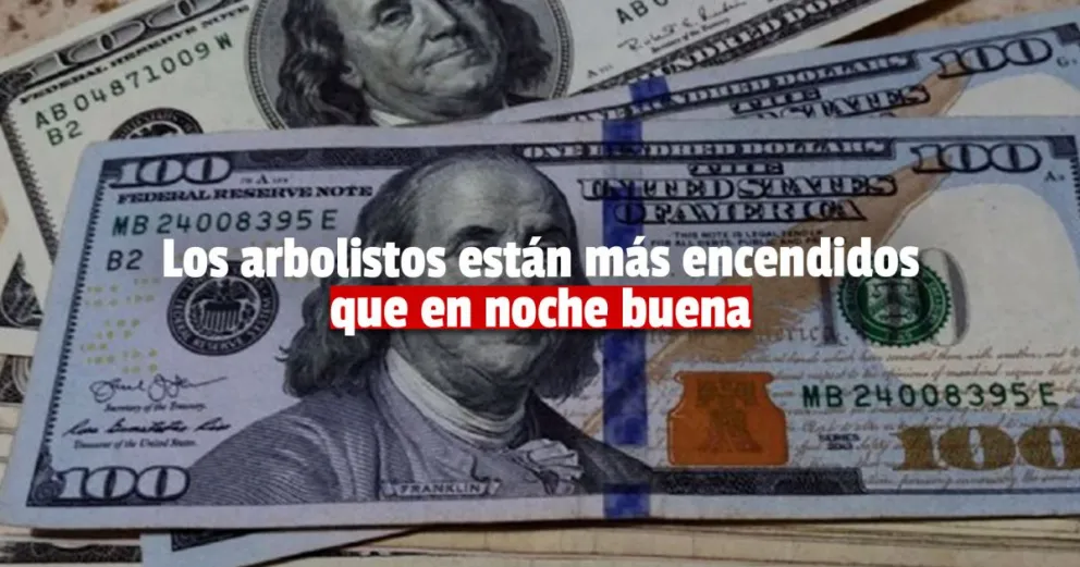 Dólar hoy: el blue alcanza un nuevo máximo histórico