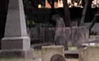 Pánico en el cementerio por la mujer fantasma que visita la tumba de su bebé