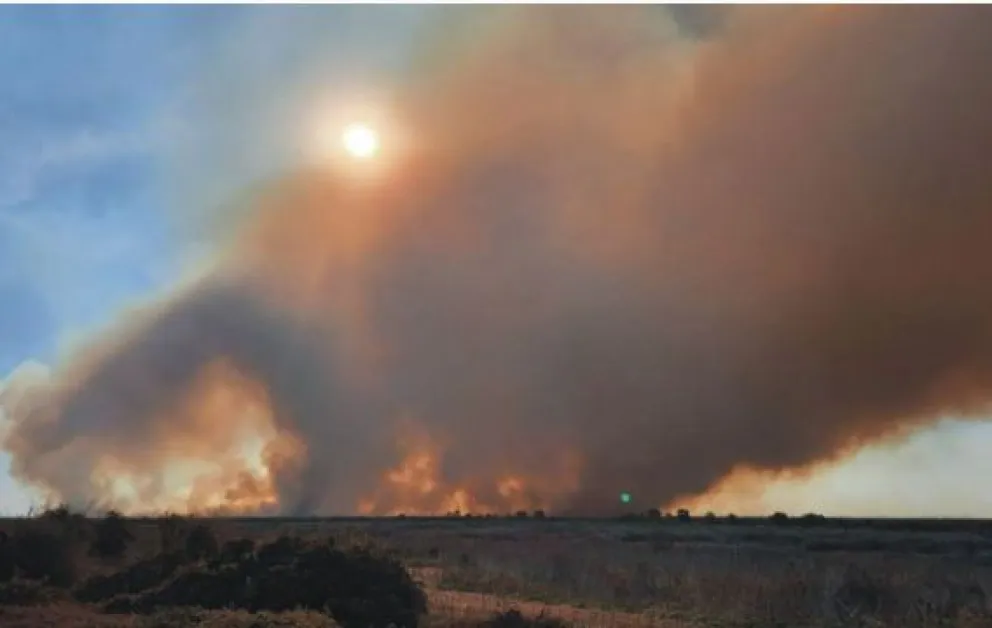 Muy triste: los incendios no dan tregua