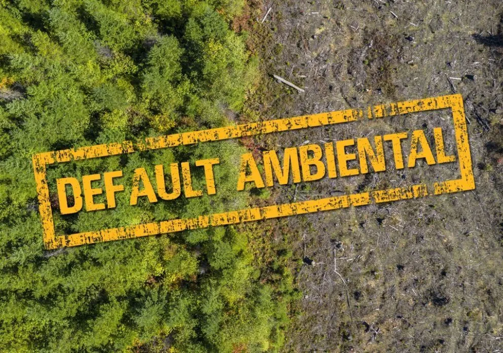 Argentina entró en default ambiental: ¿esto qué significa?