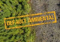 Argentina entró en default ambiental: ¿esto qué significa?