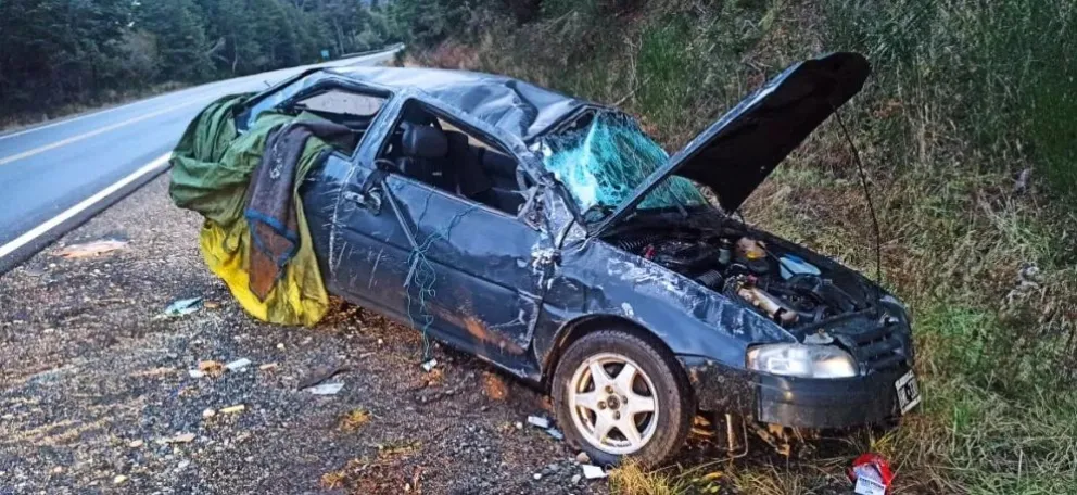 Viajaba de Bariloche a La Angostura y volcó por esquivar dos jabalíes