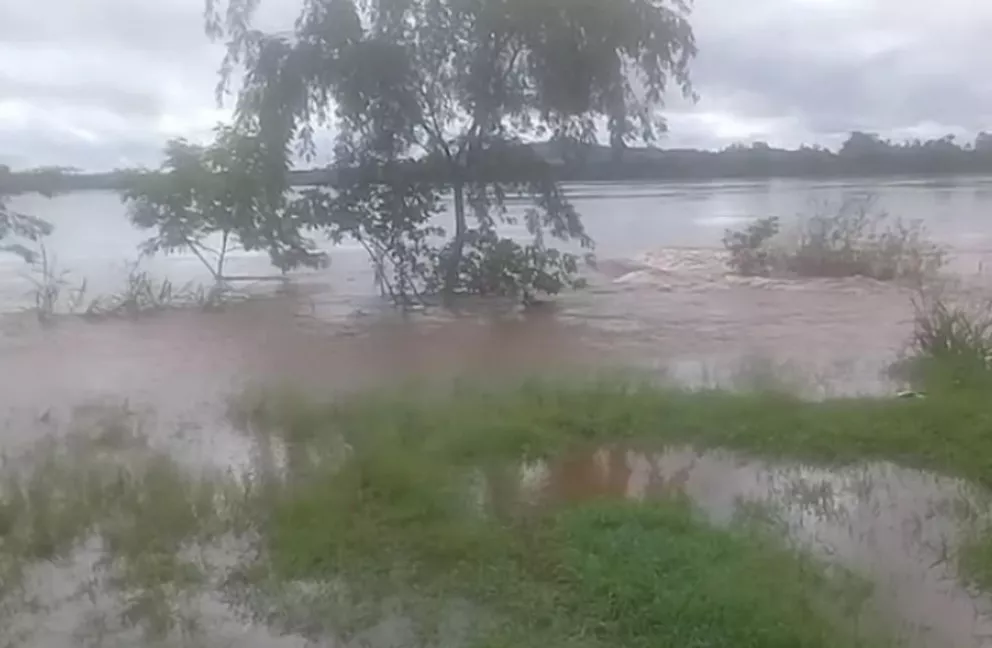El río Uruguay se estacionó y trajo alivio a San Javier 