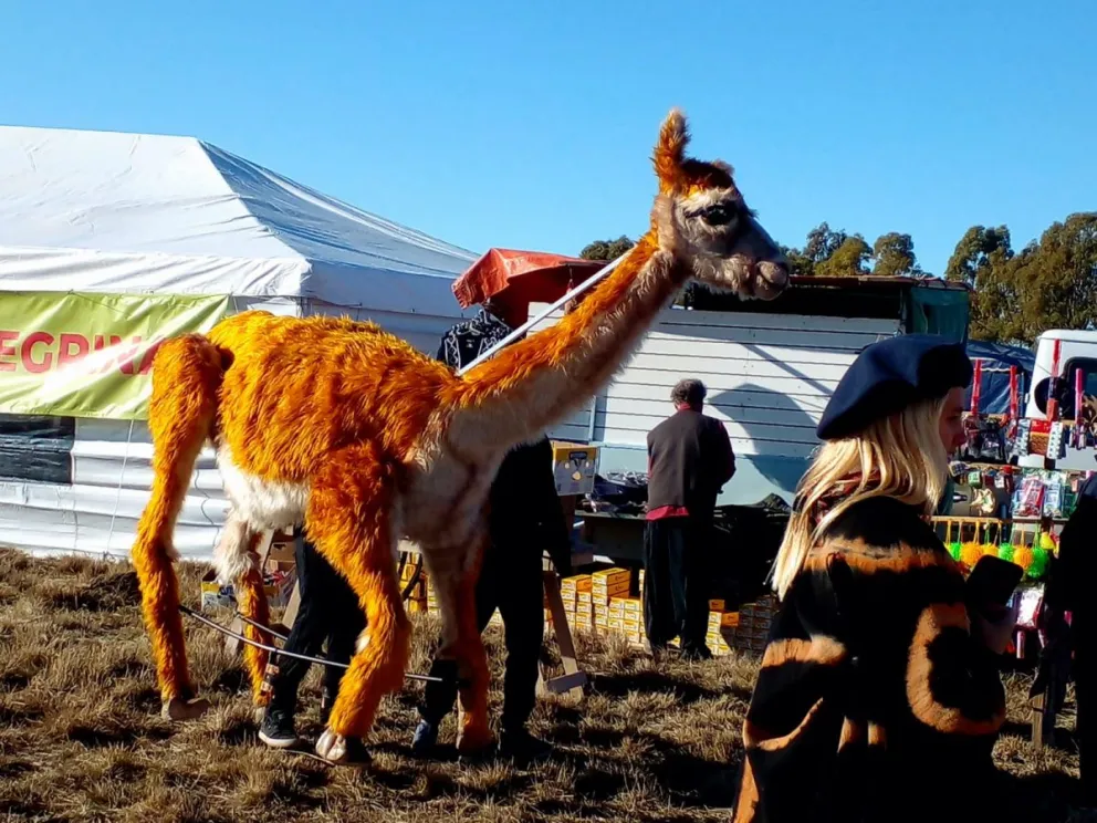 La Fiesta de la Identidad Rionegrina se vive a pleno en Viedma