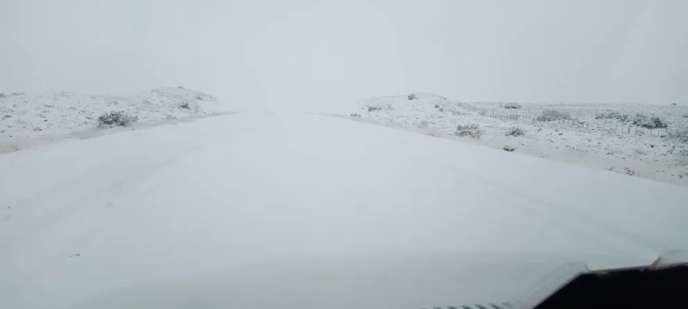EN FOTOS: Mirá como están las rutas desde Roca a la Línea Sur