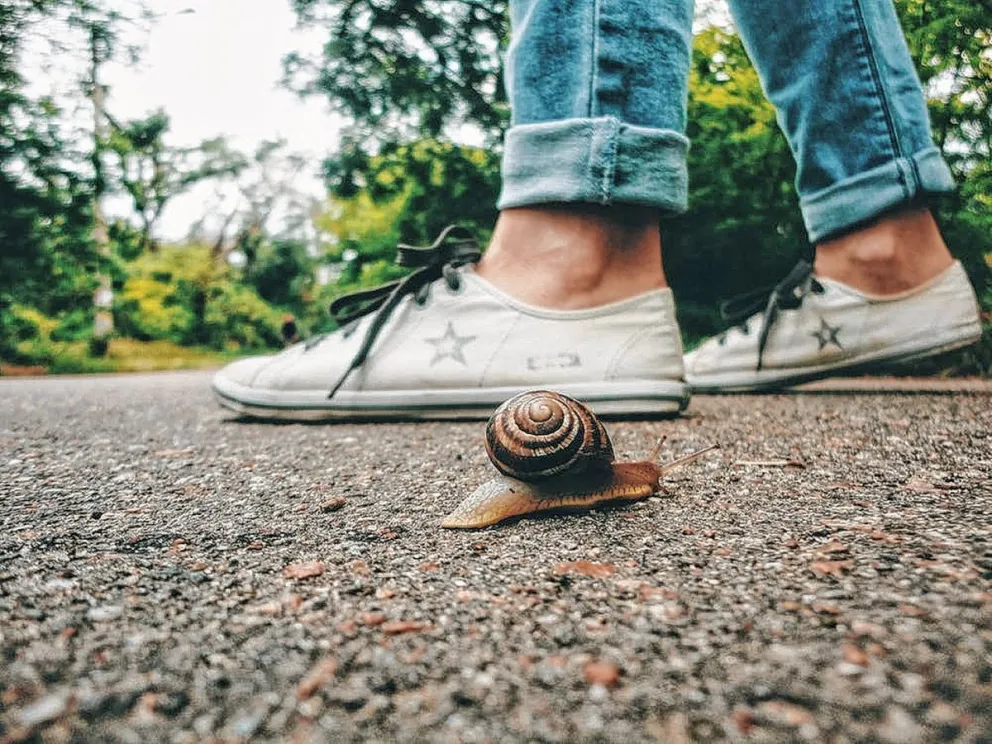 Slow Tourism: La filosofía de viajar sin apuros