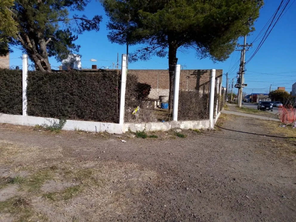 Un vecino de Viedma impidió un robo corriendo a los ladrones con un Pitbull
