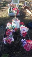 Vandalizaron la tumba de Adriana Yanquitul