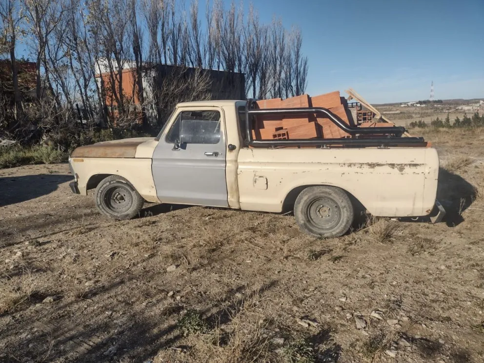 Llevó una camioneta para cargar y robarle los ladrillos a su vecino y fue detenido 
