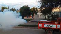 La Municipalidad refuerza los trabajos de fumigación en la ciudad