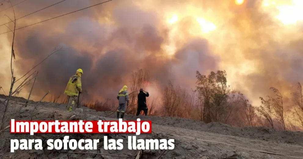 Zonda: arduo trabajo para sofocar el incendio en el Parque Sarmiento 
