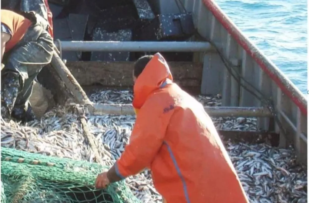 Por problemas en el sector pesquero no se pudo pescar el cupo de anchoa en Chubut