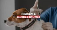 Rivadavia: la campaña de vacunación y desparasitación llega a La Bebida 