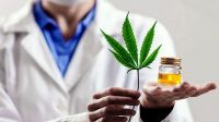 El INTI desarrolló un sitio web sobre cannabis medicinal