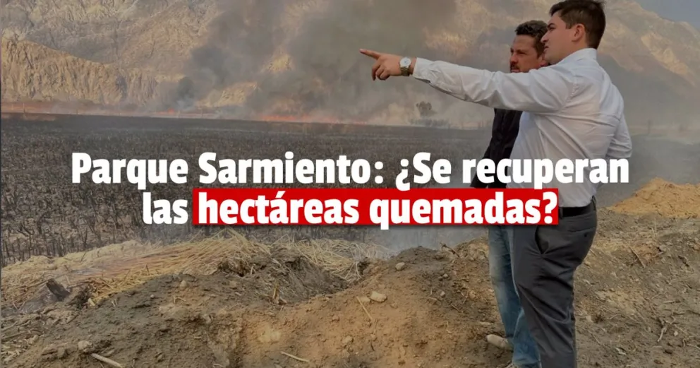 Desde Ambiente afirman que demorará aproximadamente un año en recuperarse el Parque Sarmiento