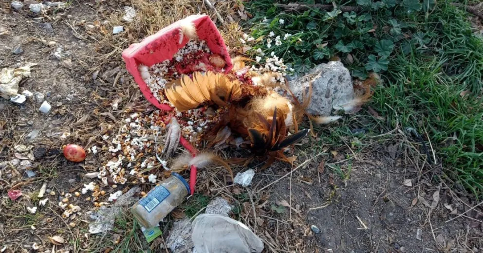 Macumba frente a un cajero: hallaron una caja misteriosa en el centro de Viedma