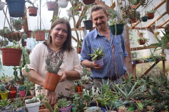 Jardín América prepara un encuentro cactusero para el 9 de julio