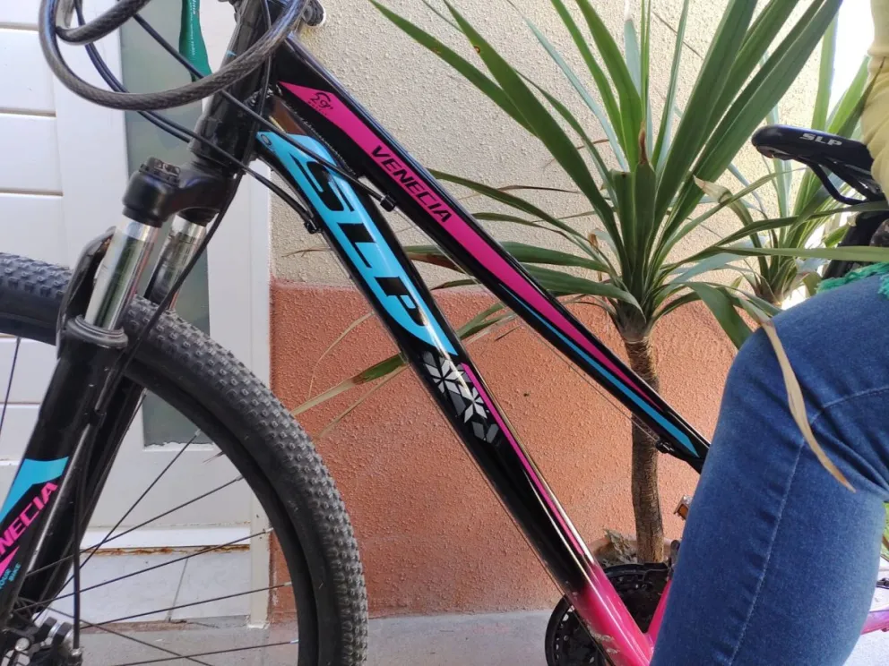 Robaron en el bicicletero del Deliberante a plena luz del día y se llevaron hasta el candado