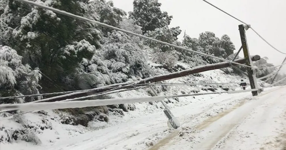 La caída de tendido eléctrico provocó que la Ruta 82 esté cortada durante dos horas  