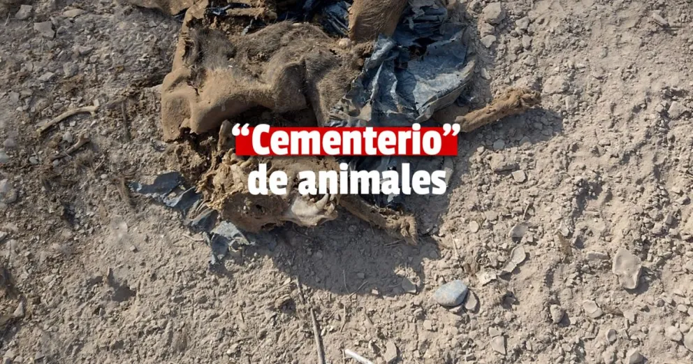 ¿Predican con el ejemplo?...