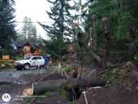 La caídas de árboles en distintas parte de la localidad, provocaron cortes enegéticos