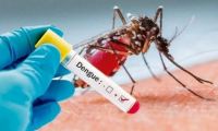 A pesar del frío siguen incrementándose los casos de dengue en la región