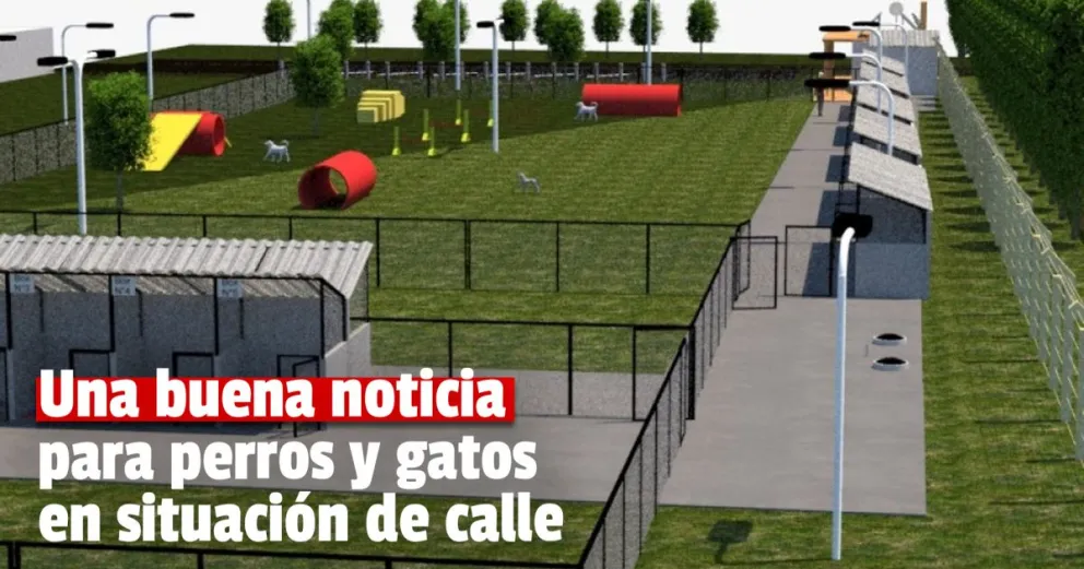 Zonda el primer municipio en construir un Hogar de Tránsito y Adopción de perros y gatos
