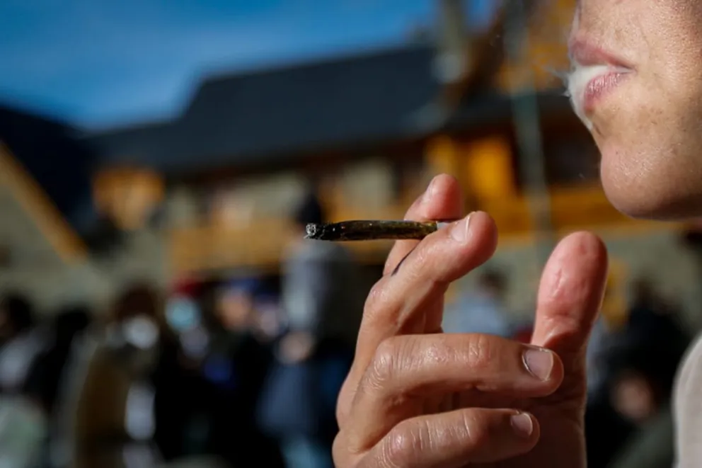Calzolari: “Creemos que es fundamental que se despenalice la tenencia y el consumo de cannabis para todos sus fines”