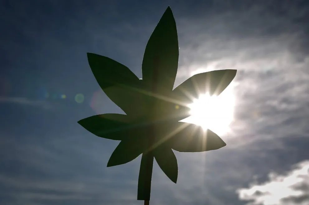Hace un año y medio, un emprendedor hablaba de una secretaría del cannabis y de la marihuana como el nuevo chocolate