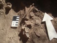 Encontraron restos arqueológicos de más de 500 años en las sierras de Guasayán 