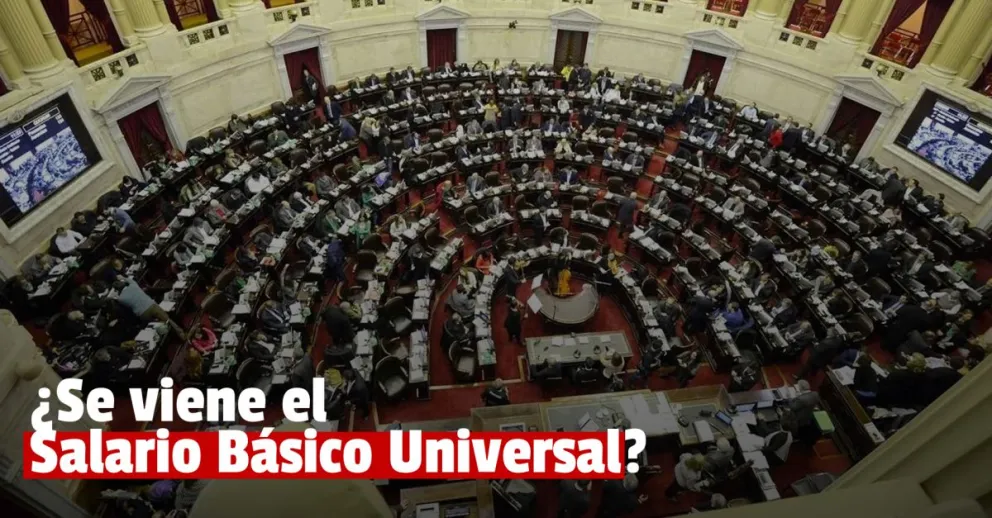 Diputados kirchneristas presentarán un proyecto de Salario Básico Universal