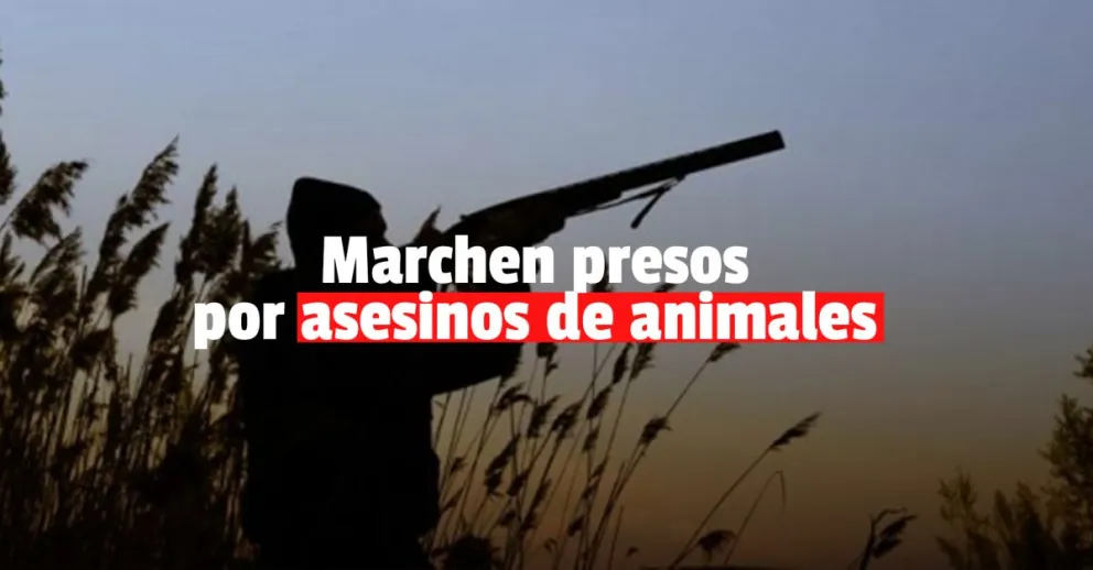 Detuvieron a cazadores furtivos con animales muertos 