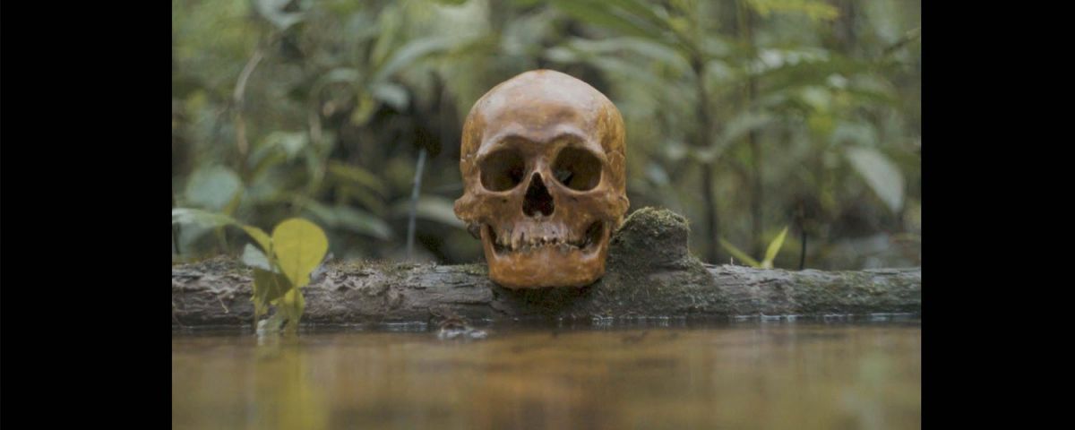 Toda la programación de la Muestra Internacional de Cine Independiente de El Palomar