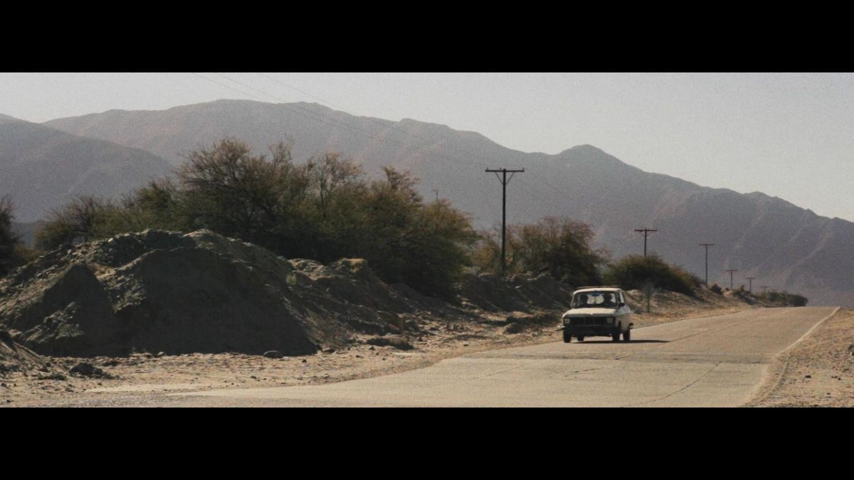 Toda la programación de la Muestra Internacional de Cine Independiente de El Palomar