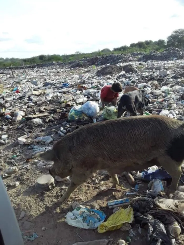 Esto pasa en "el departamento más rico de la provincia": niño de 4 años buscaba que comer de la basura