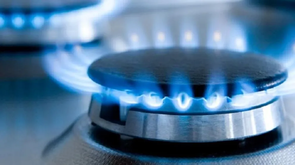 Audiencias públicas: expositores pidieron que no se apliquen los aumentos en las tarifas de luz y gas