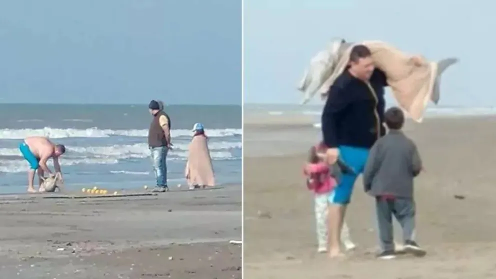 Indignante: pescó un delfín en peligro de extinción y se lo llevó envuelto en mantas