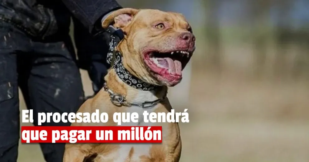 Caso Lara: el acusado deberá pagar un embargo de un millón de pesos 