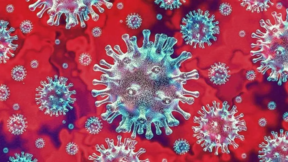 Descubren una reacción natural que podría prevenir el contagio por Covid-19