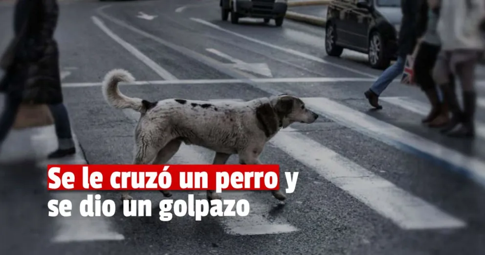 Un menor de edad terminó en el hospital luego de chocar a un perro con su moto