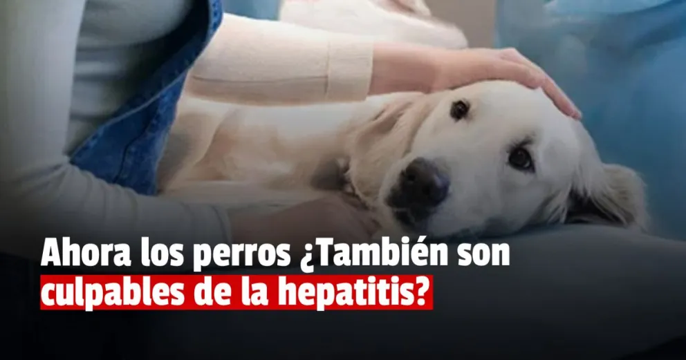 La Hepatitis Infantil Aguda: podría estar vinculada al contacto con los perros